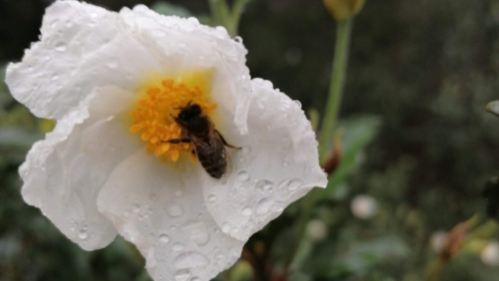 08- Logo (5Logo para agencia de buceo innovador en azul oscuro con azul claro00 x 500 px) (3)