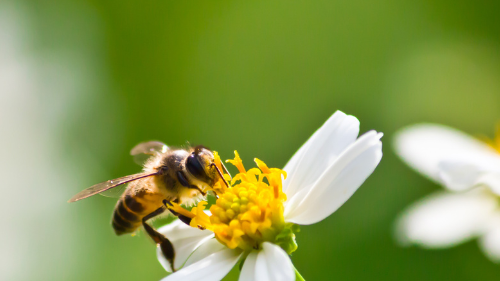 08- Logo (5Logo para agencia de buceo innovador en azul oscuro con azul claro00 x 500 px)