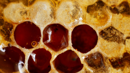 08- Logo (5Logo para agencia de buceo innovador en azul oscuro con azul claro00 x 500 px)