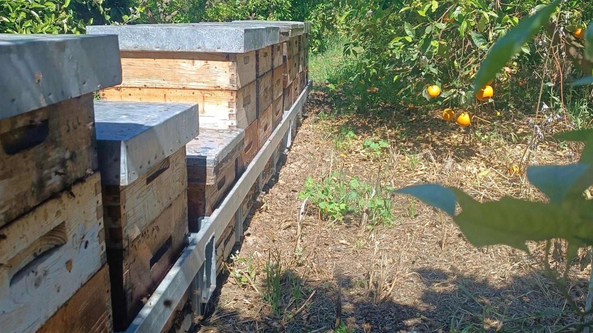 PHOTO-2025-04-24-12-16-20