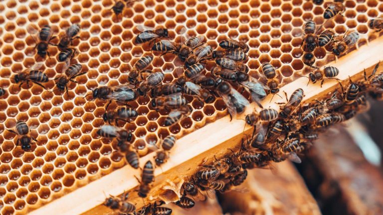 44608fc4-6c1f-46b4-b61c-e1098efb8107