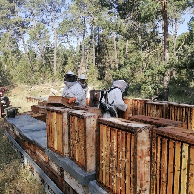 28e62211-a645-45a5-9cb6-b9655be98ab7