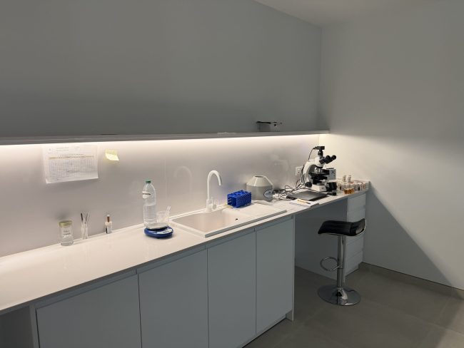 LAB 1