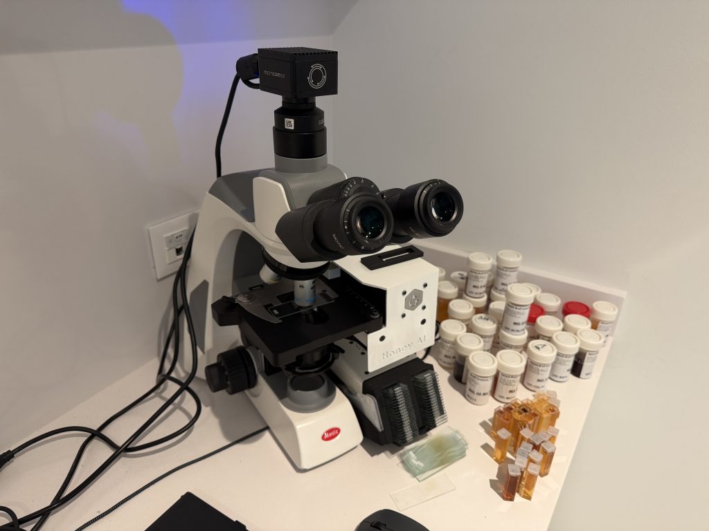 LAB 2